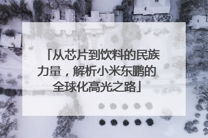 从芯片到饮料的民族力量，解析小米东鹏的全球化高光之路