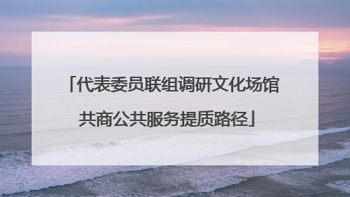 代表委员联组调研文化场馆 共商公共服务提质路径