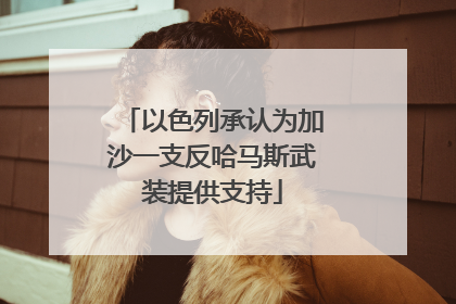 以色列承认为加沙一支反哈马斯武装提供支持