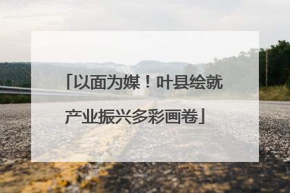 以面为媒！叶县绘就产业振兴多彩画卷