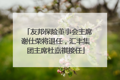 友邦保险董事会主席谢仕荣将退任，汇丰集团主席杜嘉祺接任