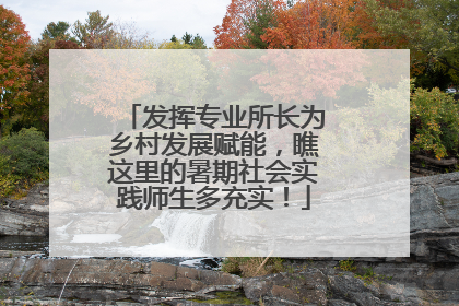 发挥专业所长为乡村发展赋能，瞧这里的暑期社会实践师生多充实！