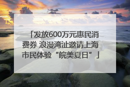 发放600万元惠民消费券 浪漫湾沚邀请上海市民体验“皖美夏日”
