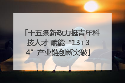 十五条新政力挺青年科技人才 赋能“13+34”产业链创新突破