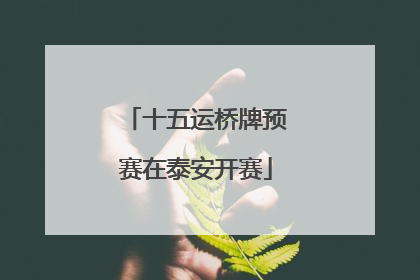 十五运桥牌预赛在泰安开赛
