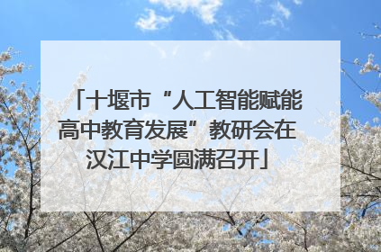 十堰市“人工智能赋能高中教育发展”教研会在汉江中学圆满召开