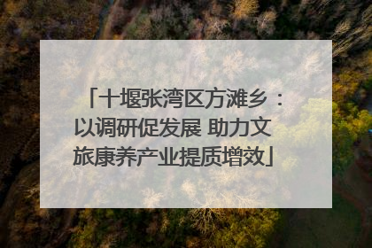 十堰张湾区方滩乡：以调研促发展 助力文旅康养产业提质增效