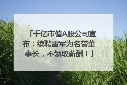 千亿市值A股公司宣布：续聘雷军为名誉董事长，不领取薪酬！