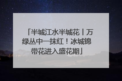 半城江水半城花丨万绿丛中一抹红！冰城锦带花进入盛花期