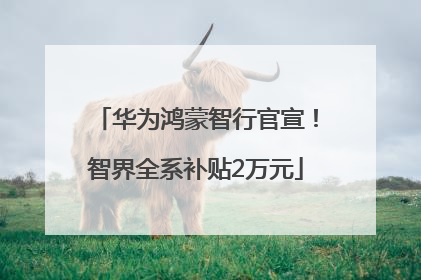 华为鸿蒙智行官宣！智界全系补贴2万元