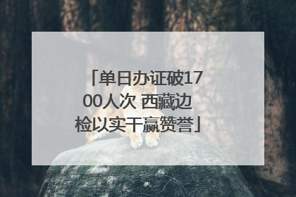 单日办证破1700人次 西藏边检以实干赢赞誉