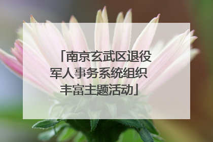 南京玄武区退役军人事务系统组织丰富主题活动