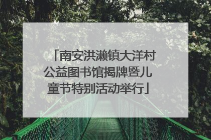 南安洪濑镇大洋村公益图书馆揭牌暨儿童节特别活动举行