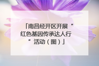 南昌经开区开展“红色基因传承达人行”活动（图）