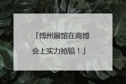 博州展馆在商博会上实力抢镜！