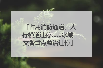 占用消防通道、人行横道违停……冰城交警重点整治违停