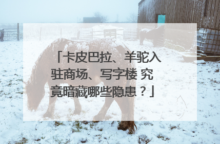 卡皮巴拉、羊驼入驻商场、写字楼 究竟暗藏哪些隐患？