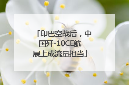 印巴空战后，中国歼-10CE航展上成流量担当