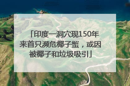 印度一洞穴现150年来首只濒危椰子蟹，或因被椰子和垃圾吸引