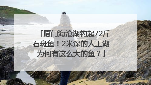 厦门海沧湖钓起72斤石斑鱼！2米深的人工湖为何有这么大的鱼？