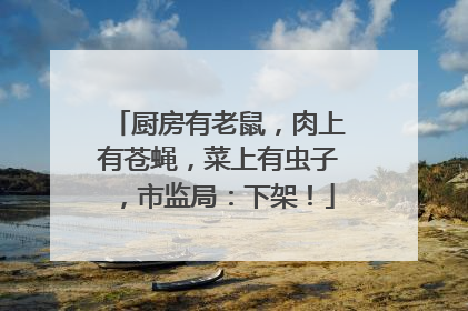 厨房有老鼠，肉上有苍蝇，菜上有虫子，市监局：下架！