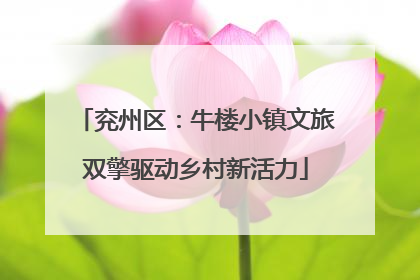 兖州区：牛楼小镇文旅双擎驱动乡村新活力