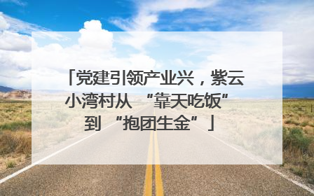 党建引领产业兴，紫云小湾村从 “靠天吃饭” 到 “抱团生金”