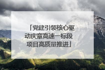 党建引领核心驱动庆章高速一标段项目高质量推进