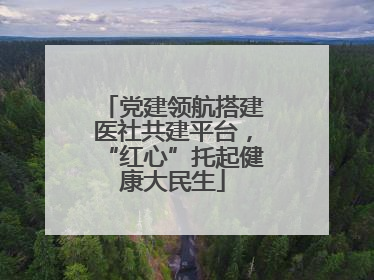 党建领航搭建医社共建平台，“红心”托起健康大民生