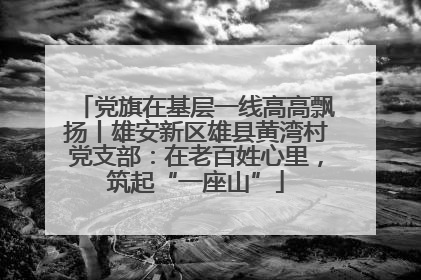 党旗在基层一线高高飘扬丨雄安新区雄县黄湾村党支部：在老百姓心里，筑起“一座山”