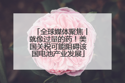 全球媒体聚焦丨就像过量的药！美国关税可能阻碍该国电池产业发展