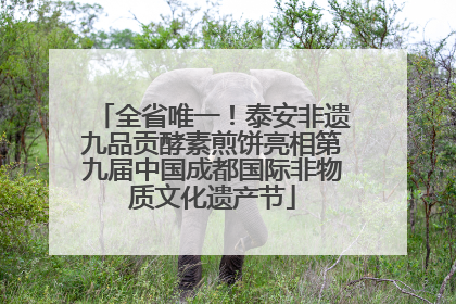 全省唯一！泰安非遗九品贡酵素煎饼亮相第九届中国成都国际非物质文化遗产节