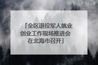 全区退役军人就业创业工作现场推进会在北海市召开