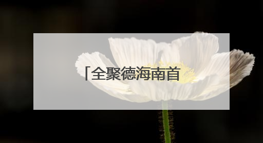 全聚德海南首家直营店开业，打造海口“京味美食新地标”