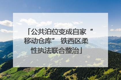 公共泊位变成自家“移动仓库” 铁西区柔性执法联合整治