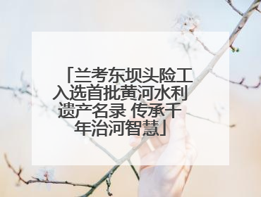 兰考东坝头险工入选首批黄河水利遗产名录 传承千年治河智慧