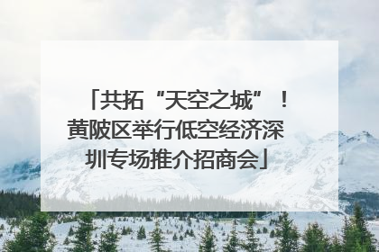 共拓“天空之城”！黄陂区举行低空经济深圳专场推介招商会