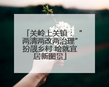 关岭上关镇：“两清两改两治理”扮靓乡村 绘就宜居新图景