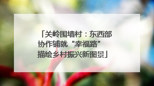 关岭围墙村：东西部协作铺就“幸福路” 描绘乡村振兴新图景