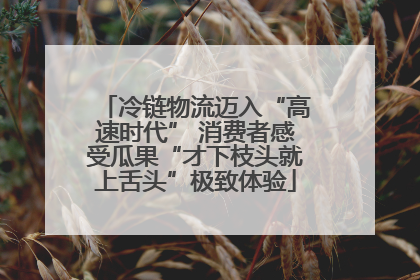 冷链物流迈入“高速时代” 消费者感受瓜果“才下枝头就上舌头”极致体验