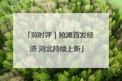 冀时评｜抢滩首发经济 河北持续上新