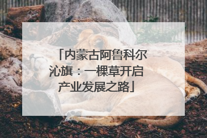 内蒙古阿鲁科尔沁旗：一棵草开启产业发展之路