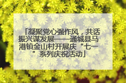 凝聚党心强作风，共话振兴谋发展——通城县马港镇金山村开展庆“七一”系列庆祝活动