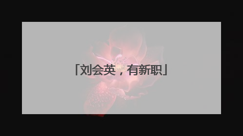 刘会英，有新职