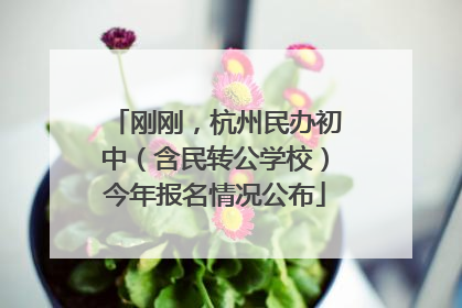 刚刚，杭州民办初中（含民转公学校）今年报名情况公布