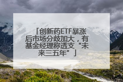 创新药ETF暴涨后市场分歧加大，有基金经理称透支“未来三五年”