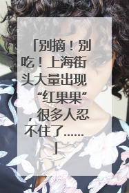 别摘！别吃！上海街头大量出现“红果果”，很多人忍不住了……