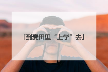 到麦田里“上学”去