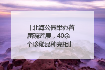 北海公园举办首届碗莲展，40余个珍稀品种亮相
