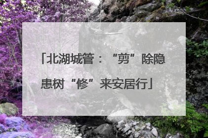 北湖城管：“剪”除隐患树“修”来安居行